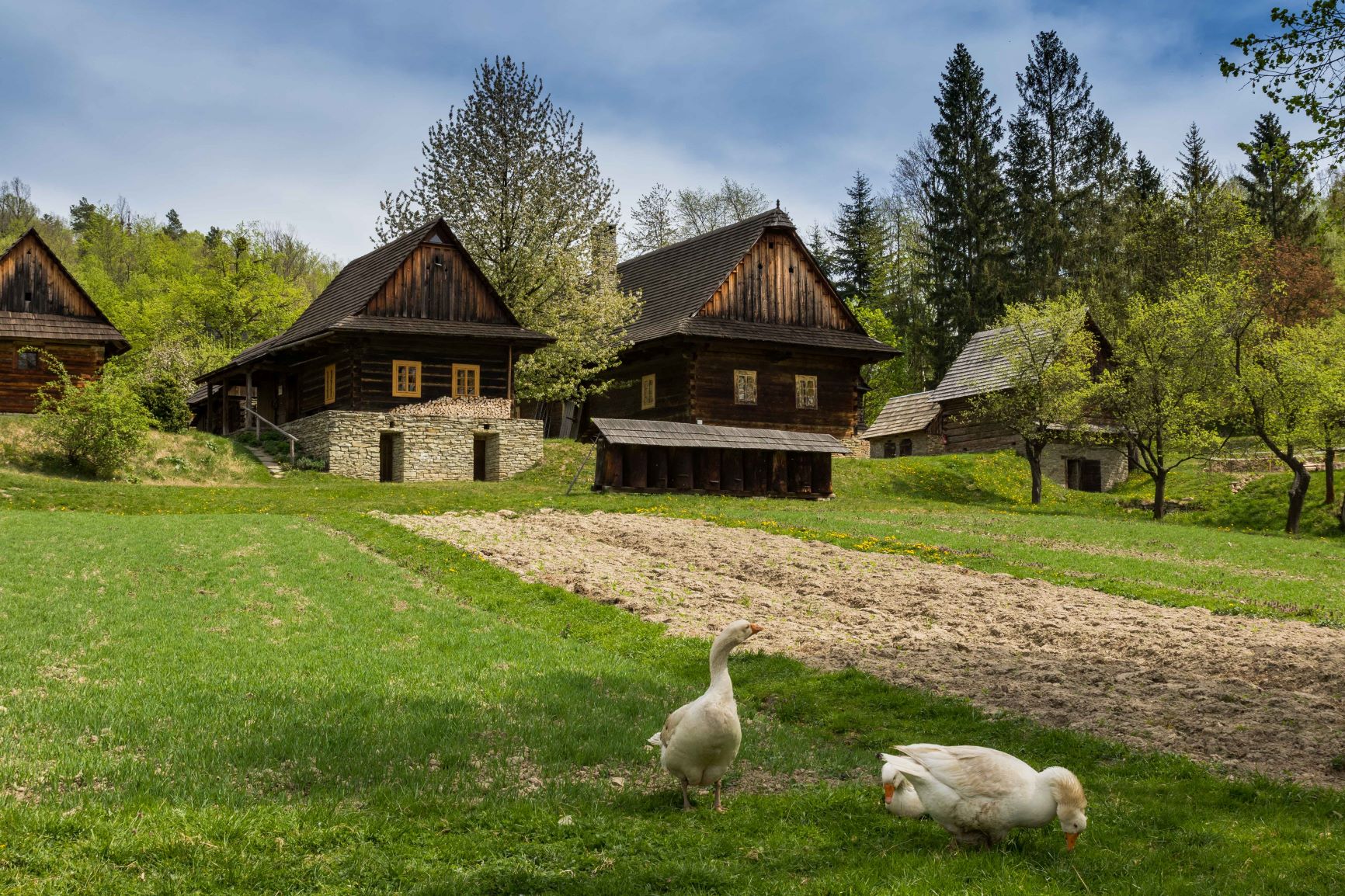 VALASK MUZEUM V PROD RONOV POD RADHOTM