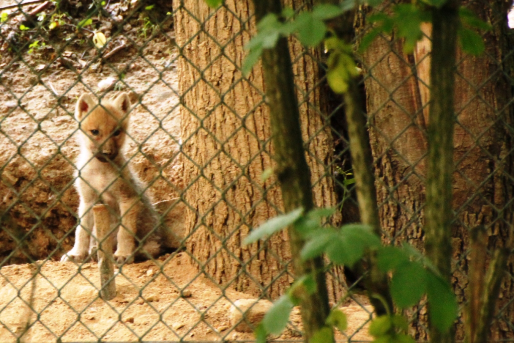 ZOO BRNO