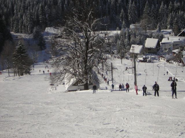 SKI AREL ZLATNK